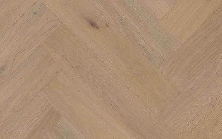 Prescott Oak