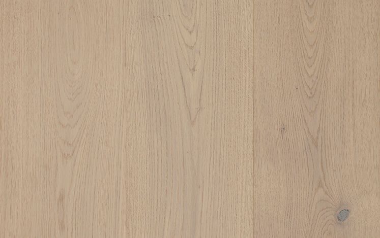 Tawny Grey