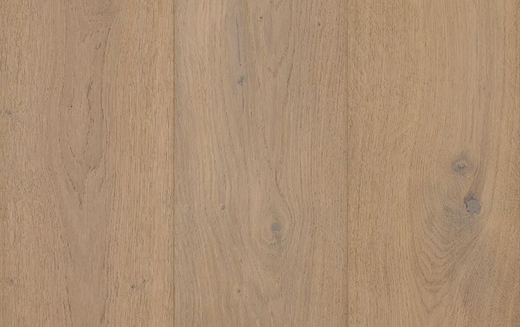 Prescott Oak