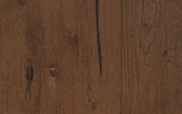 Chestnut