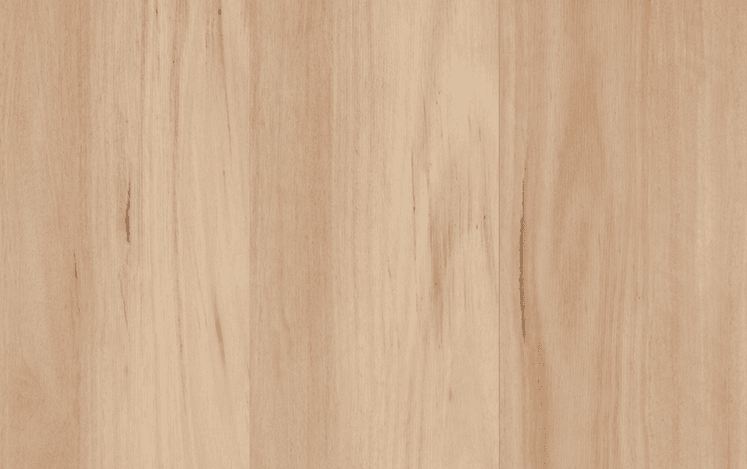 Southern Blackbutt - NEW