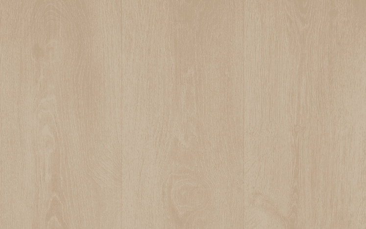 White Elm - NEW