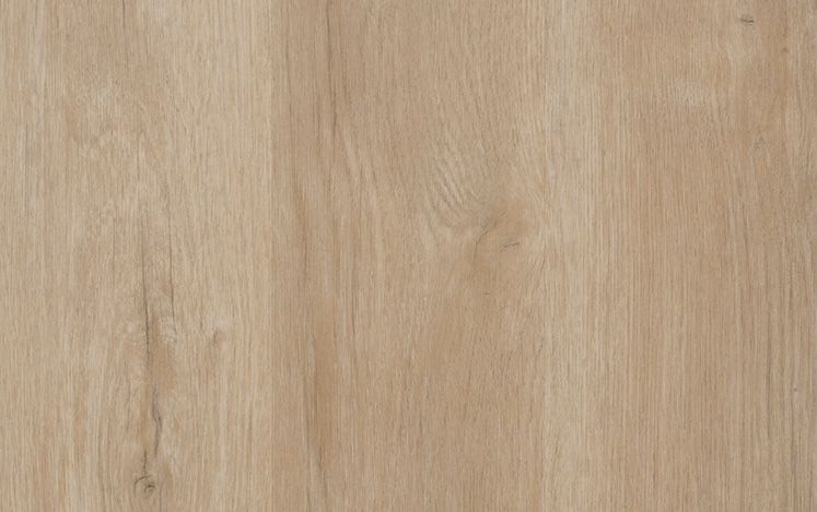 Cedar