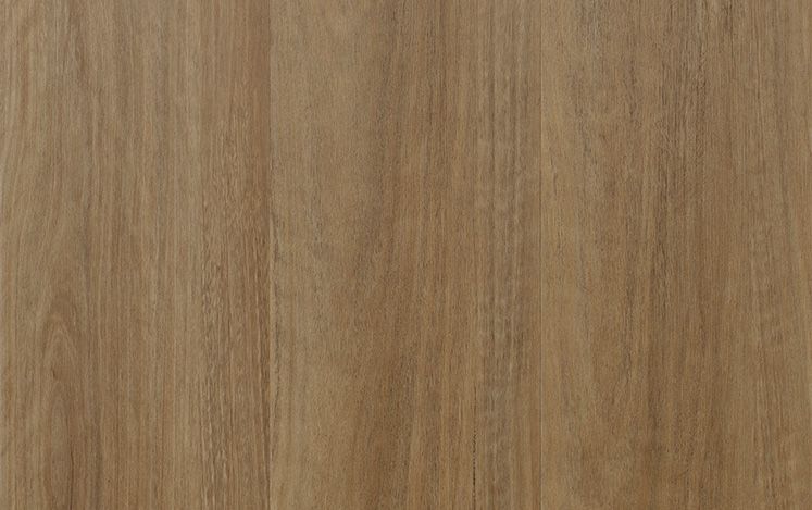 Country Spotted Gum