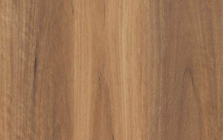 Alpine Spotted Gum