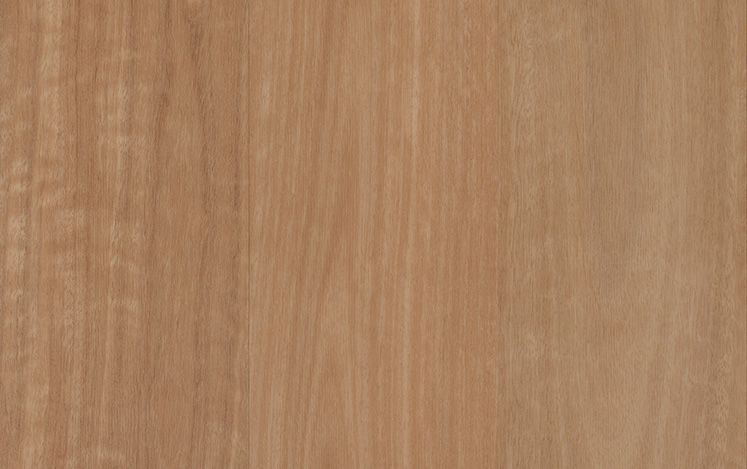 Banksia Blackbutt