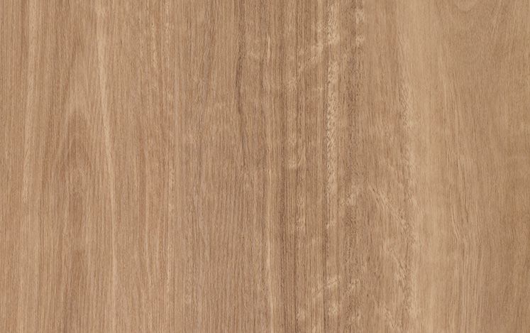 Sierra Spotted Gum