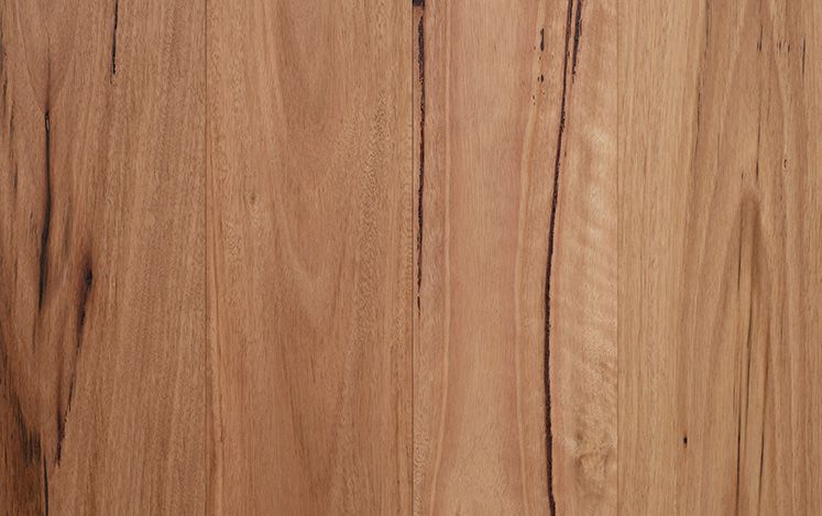Authentic Blackbutt (2130)