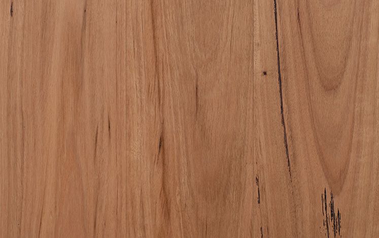 Authentic Blackbutt (2130)