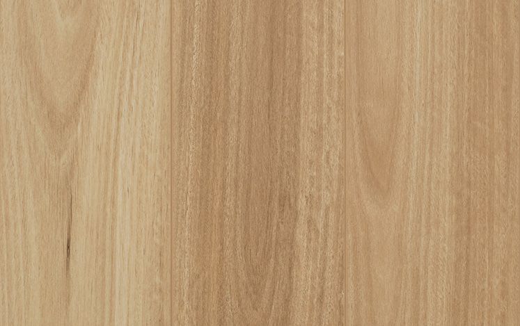 Mid Coast Blackbutt