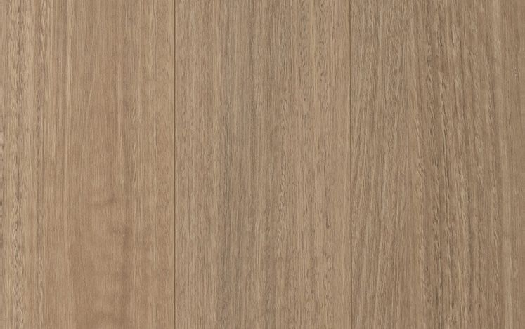 Drover Spotted Gum