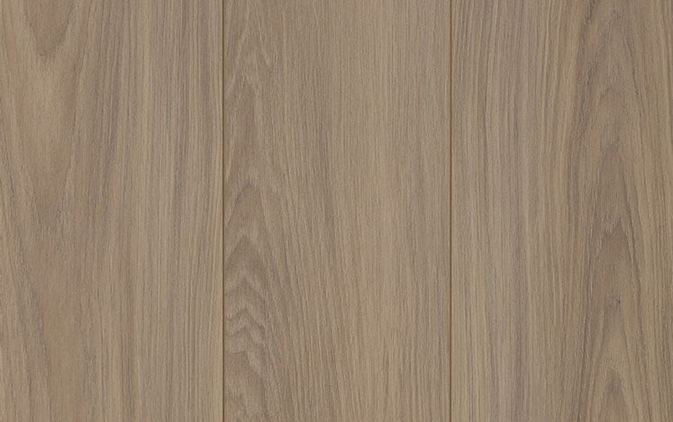 Midland Hickory