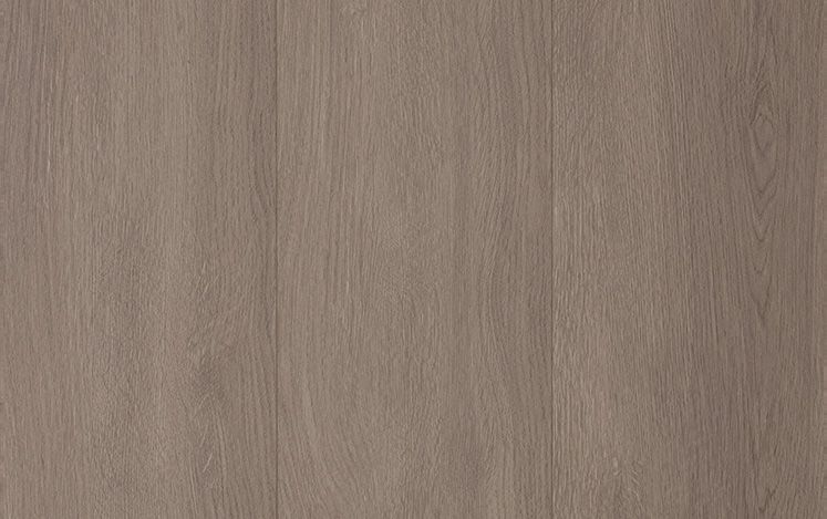 Mushroom Grey