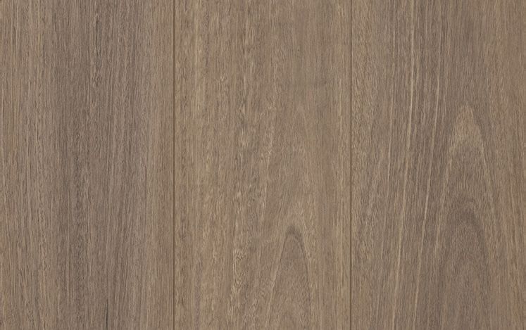 Pepper Spotted Gum