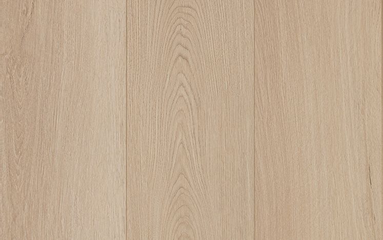 Mountain Ash