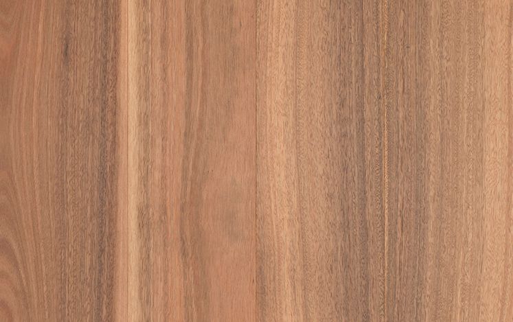 Brushed Spotted Gum