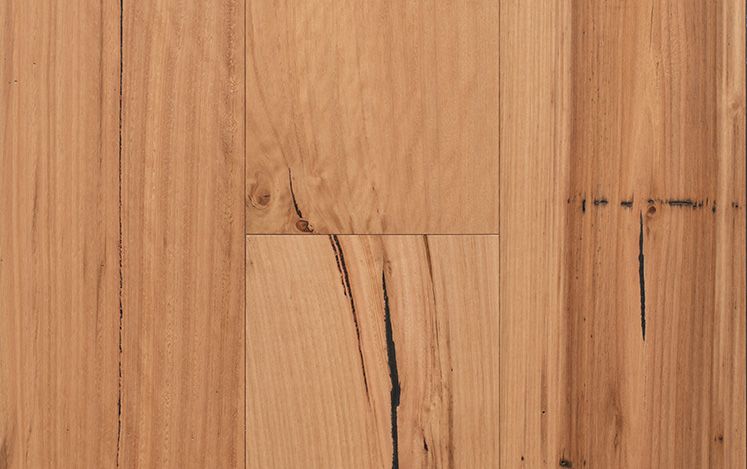 Blackbutt 189mm