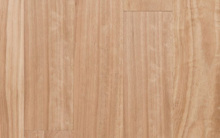 Blackbutt 136mm - NEW