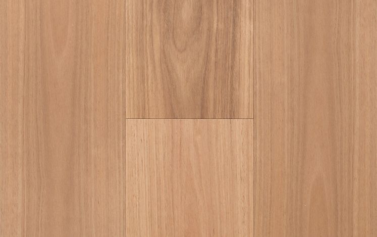 Blackbutt 189mm