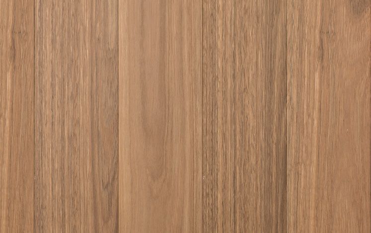 Spotted Gum 136mm - NEW