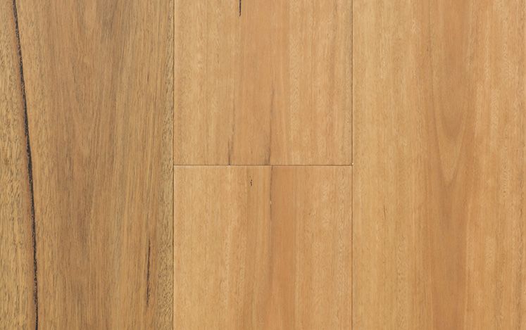 Spotted Gum 189mm