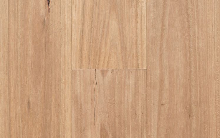 Blackbutt 189mm