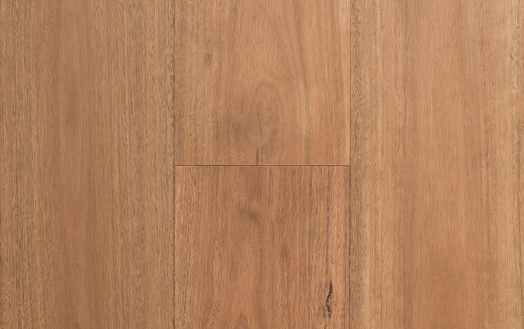 Spotted Gum 189mm