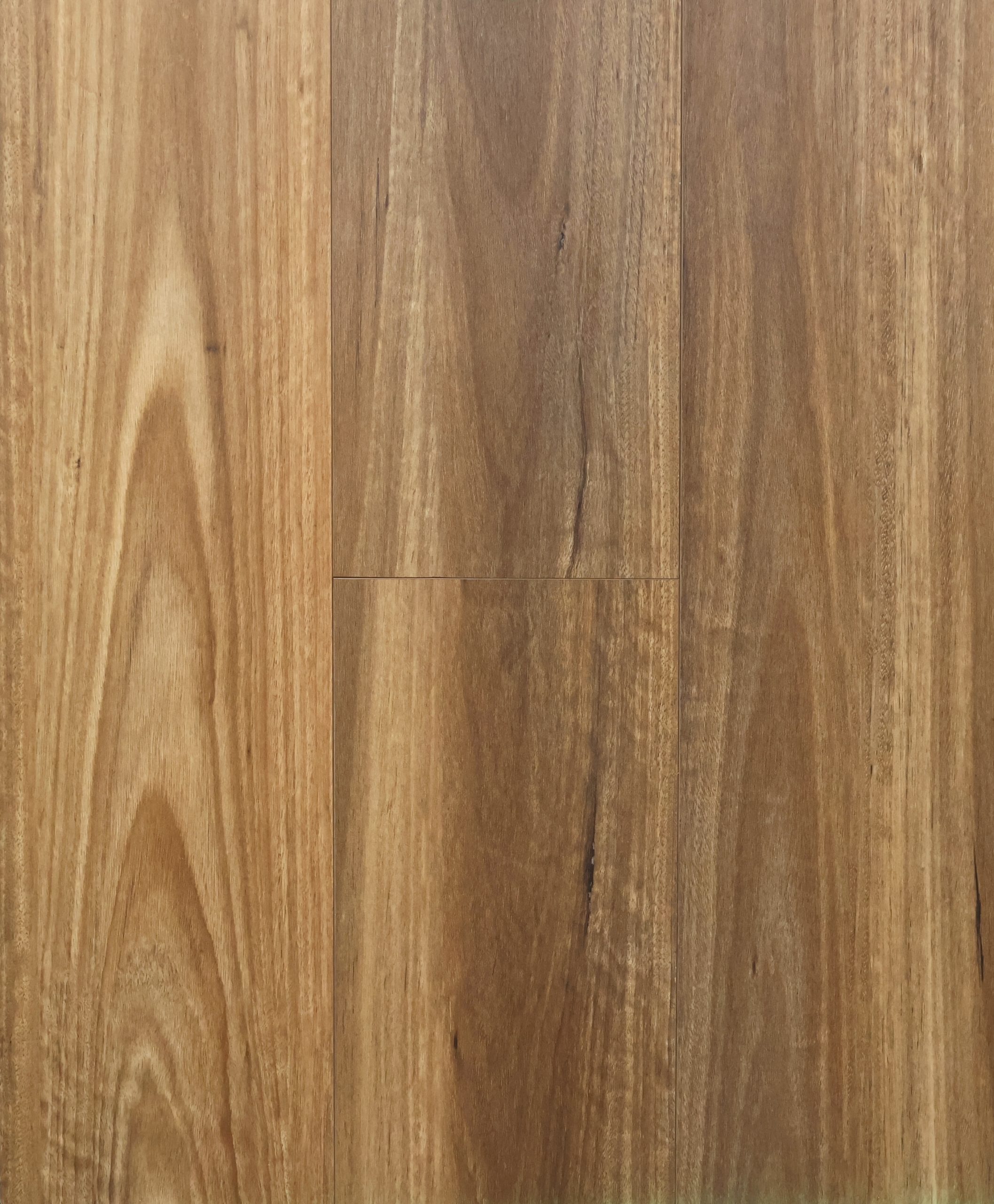 Forest Spotted Gum
