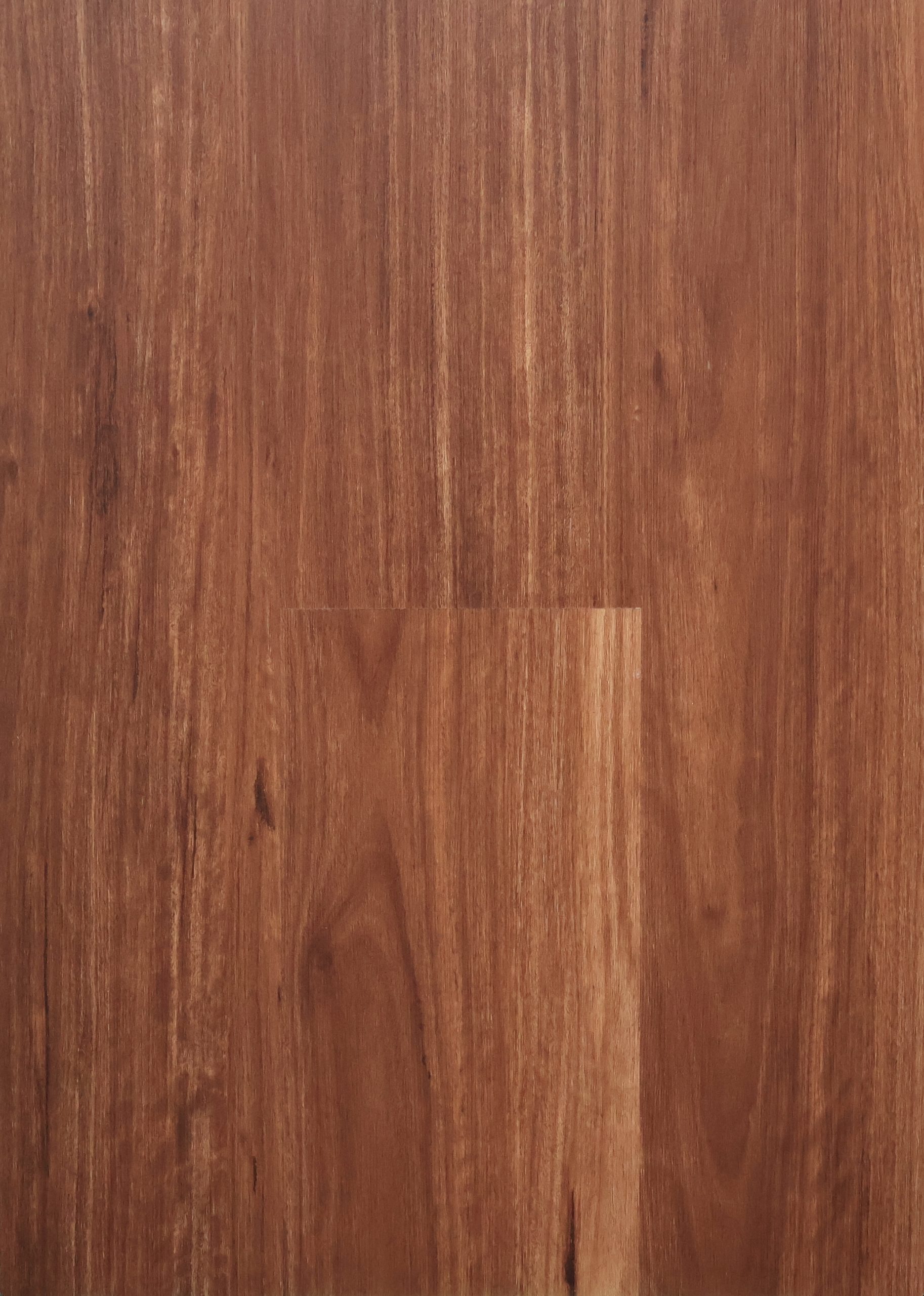 Warm Spotted Gum