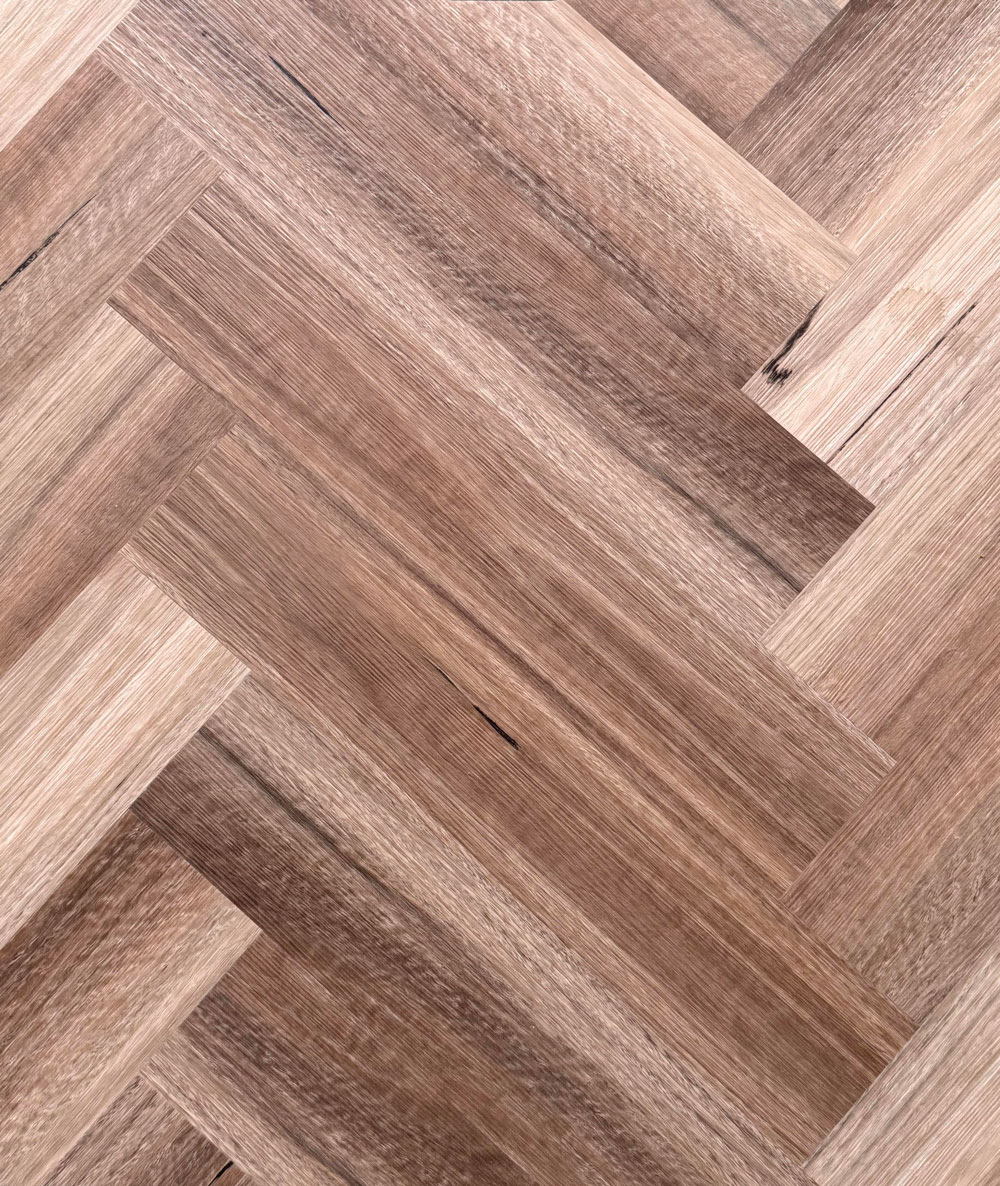 Wild Spotted Gum