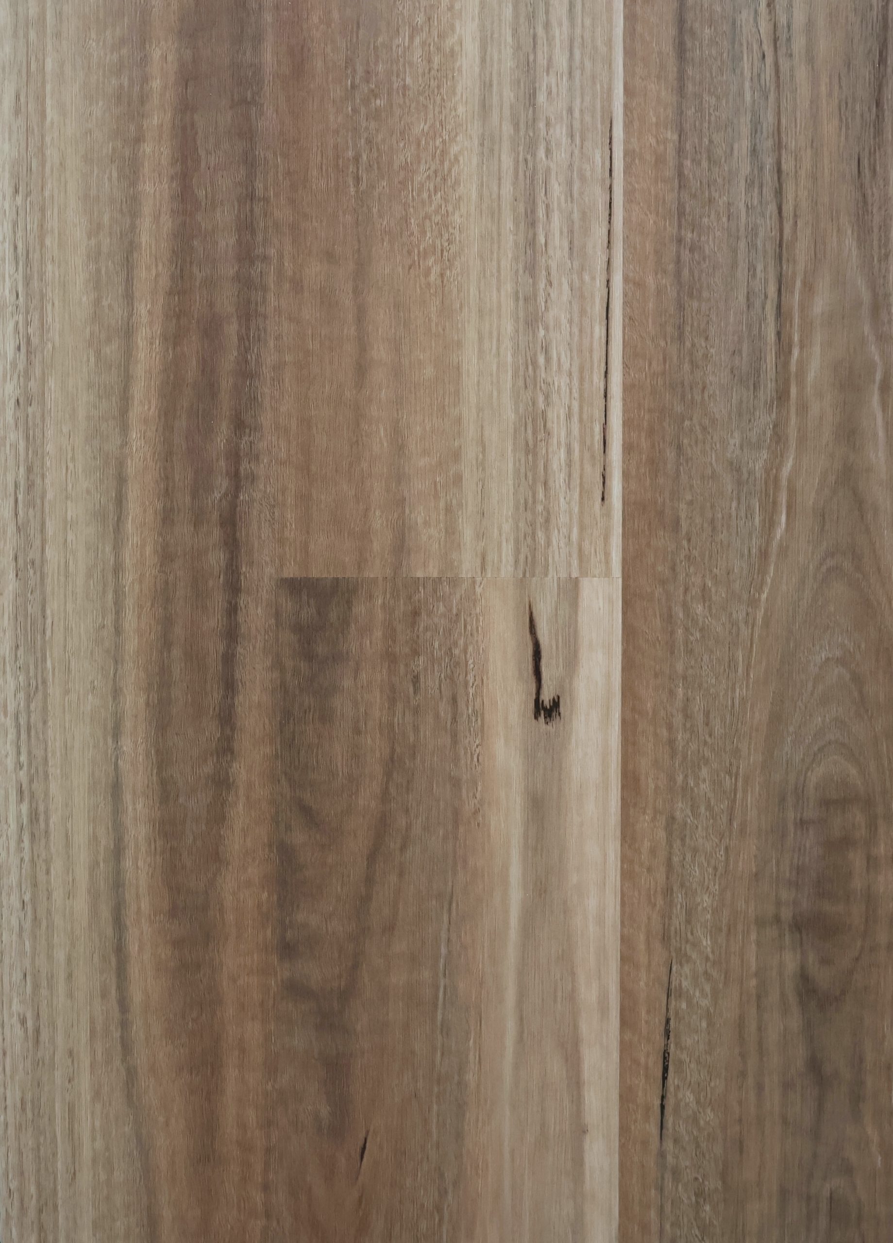 Wild Spotted Gum Long Board