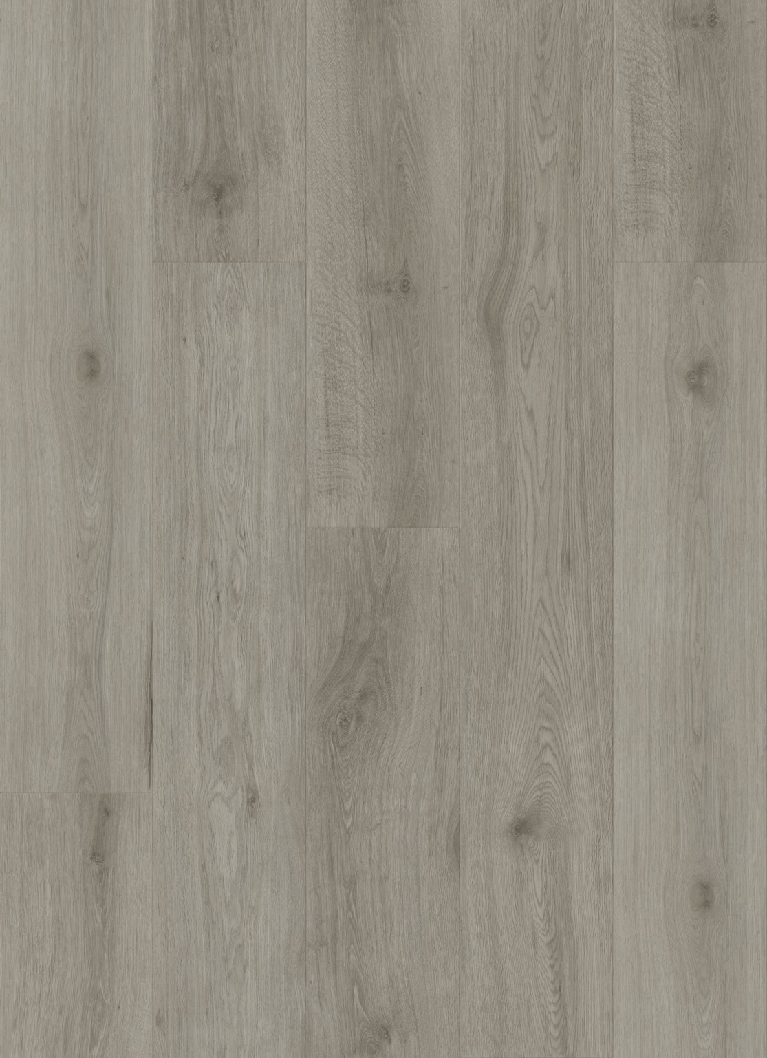 Arctic Grey
