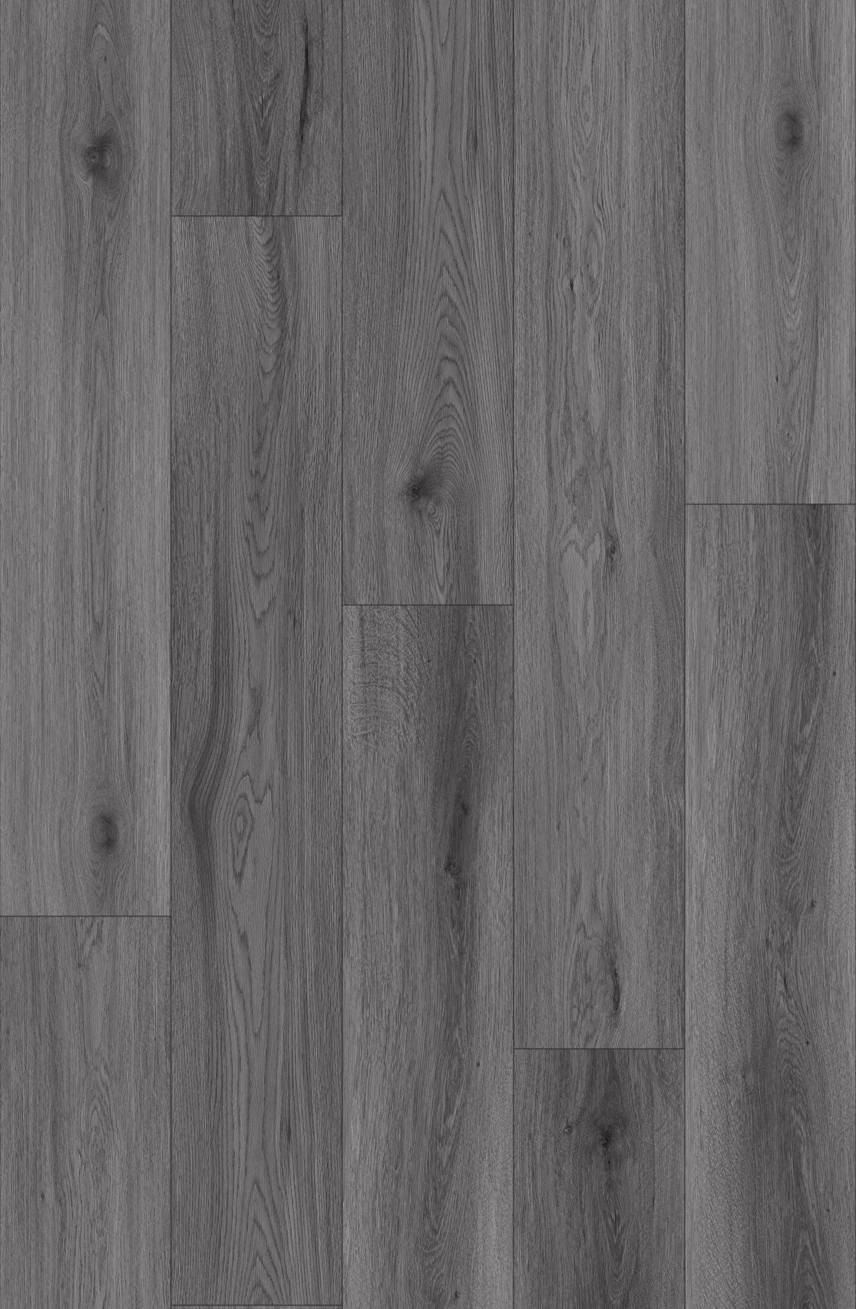 Dim Grey