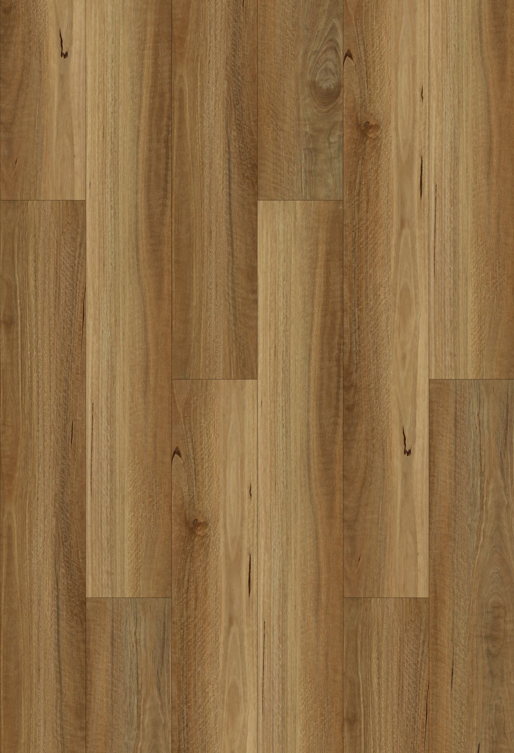 NSW Spotted Gum