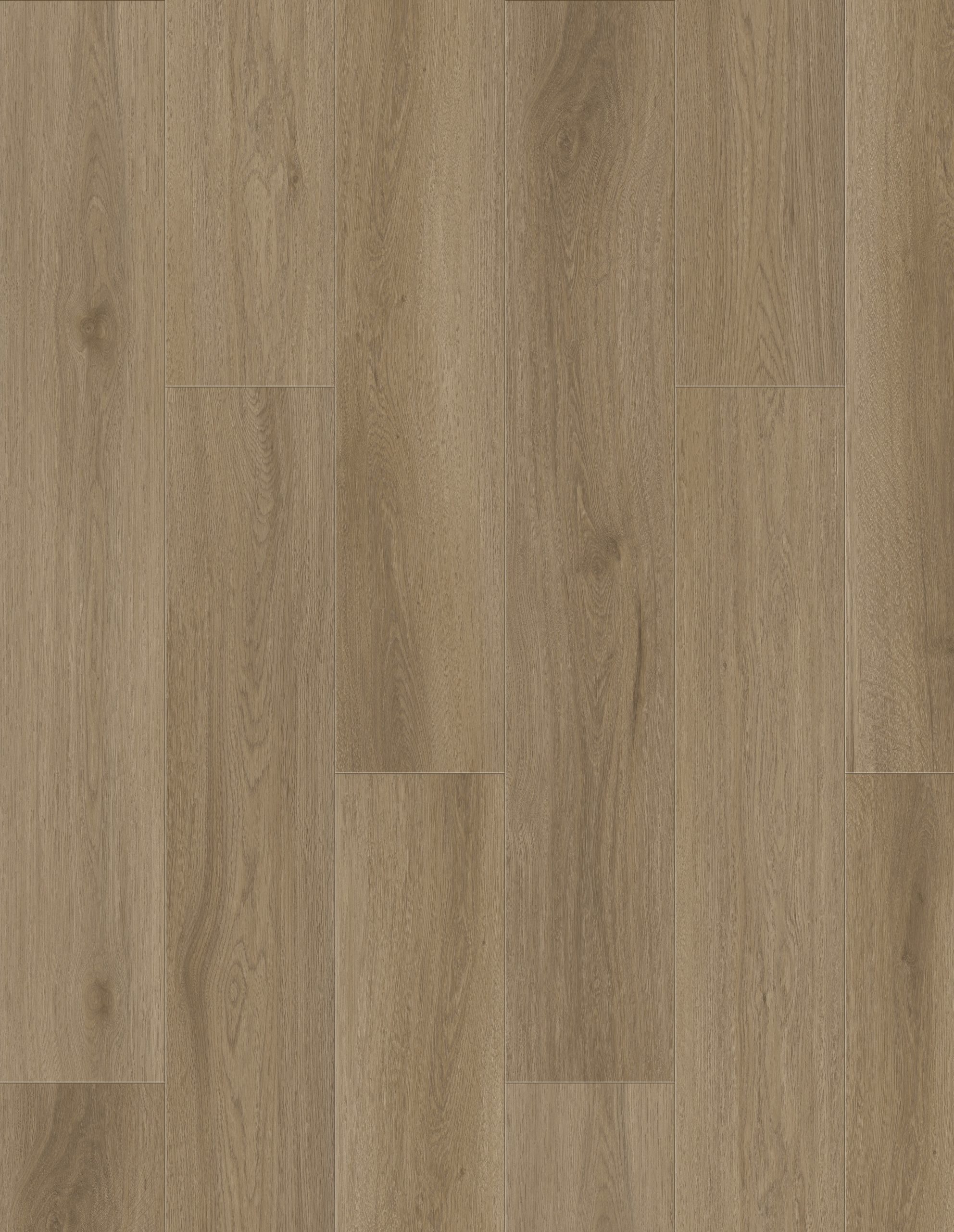 Pale Oak
