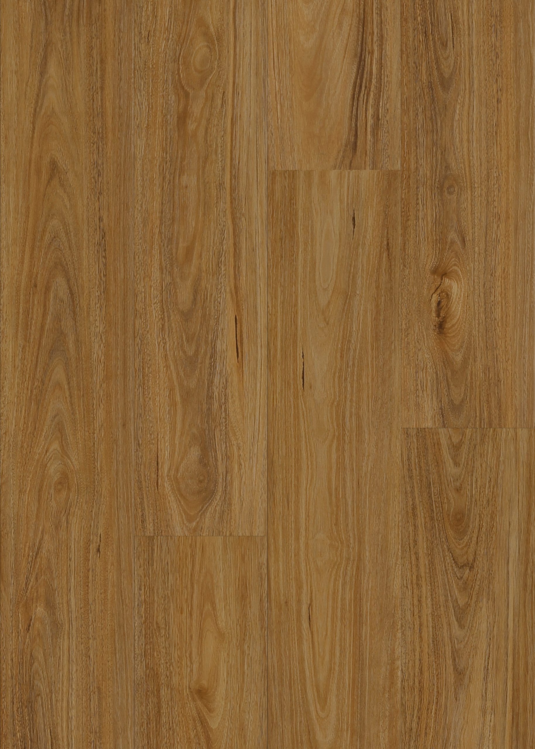 QLD Spotted Gum