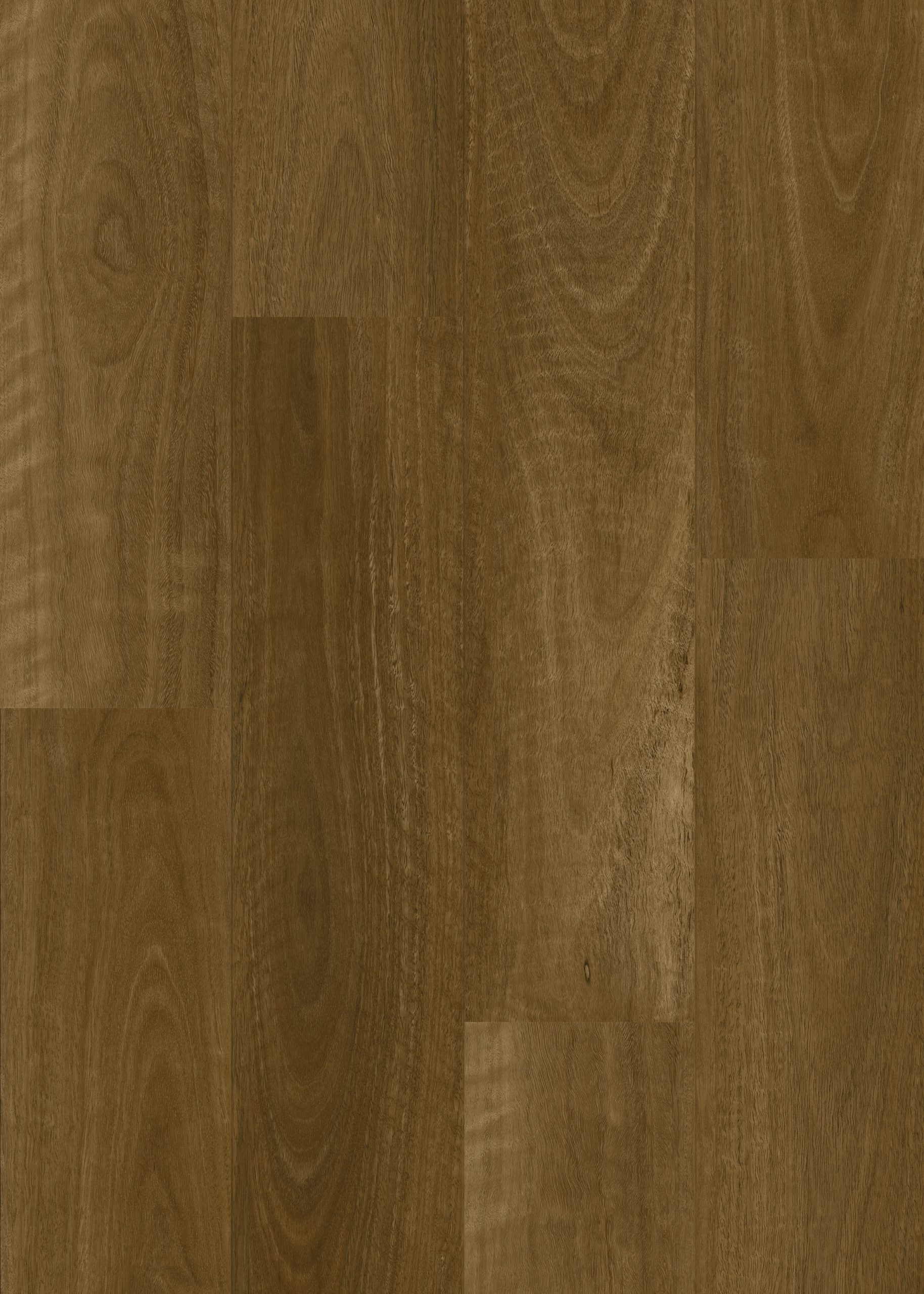 Smoked Spotted Gum