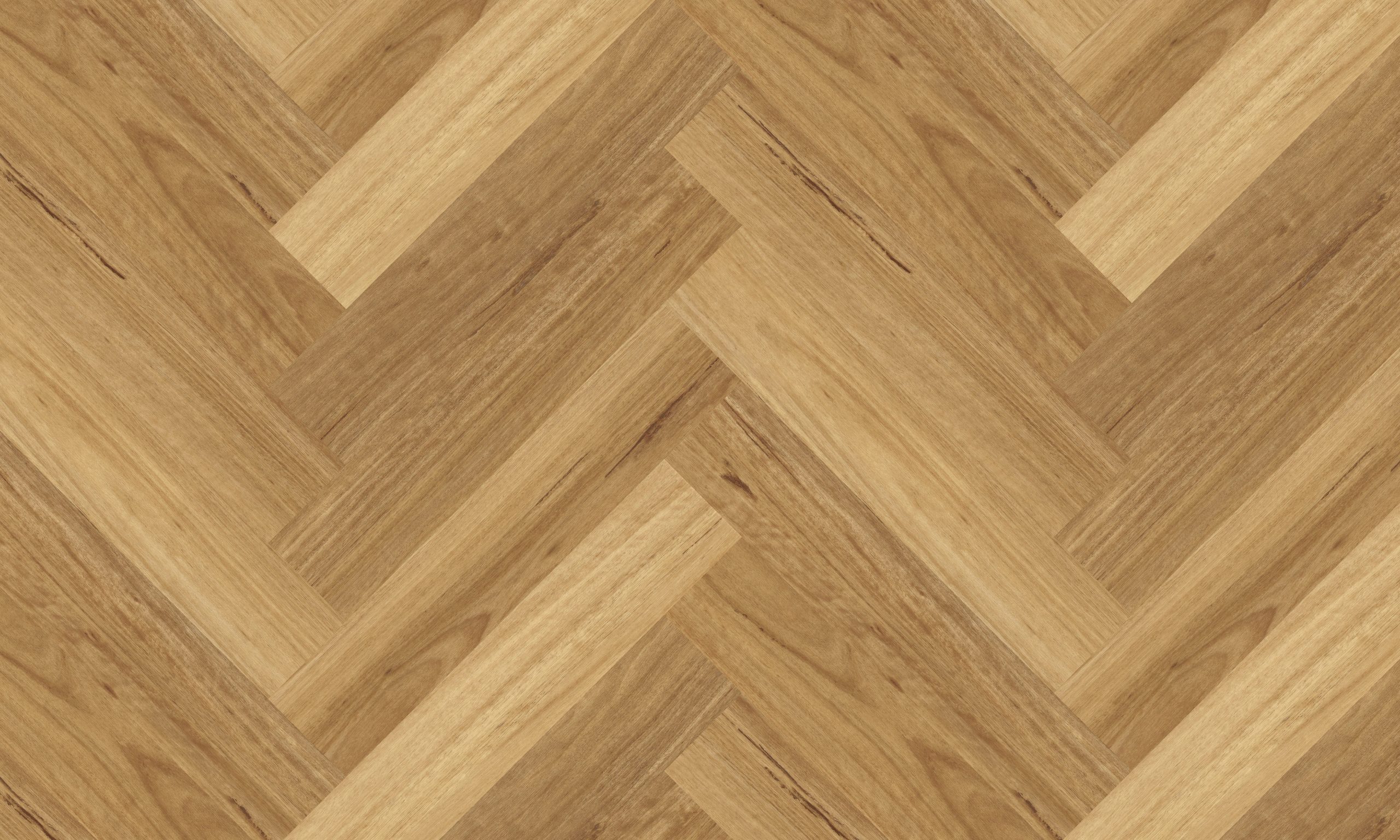 Native Blackbutt