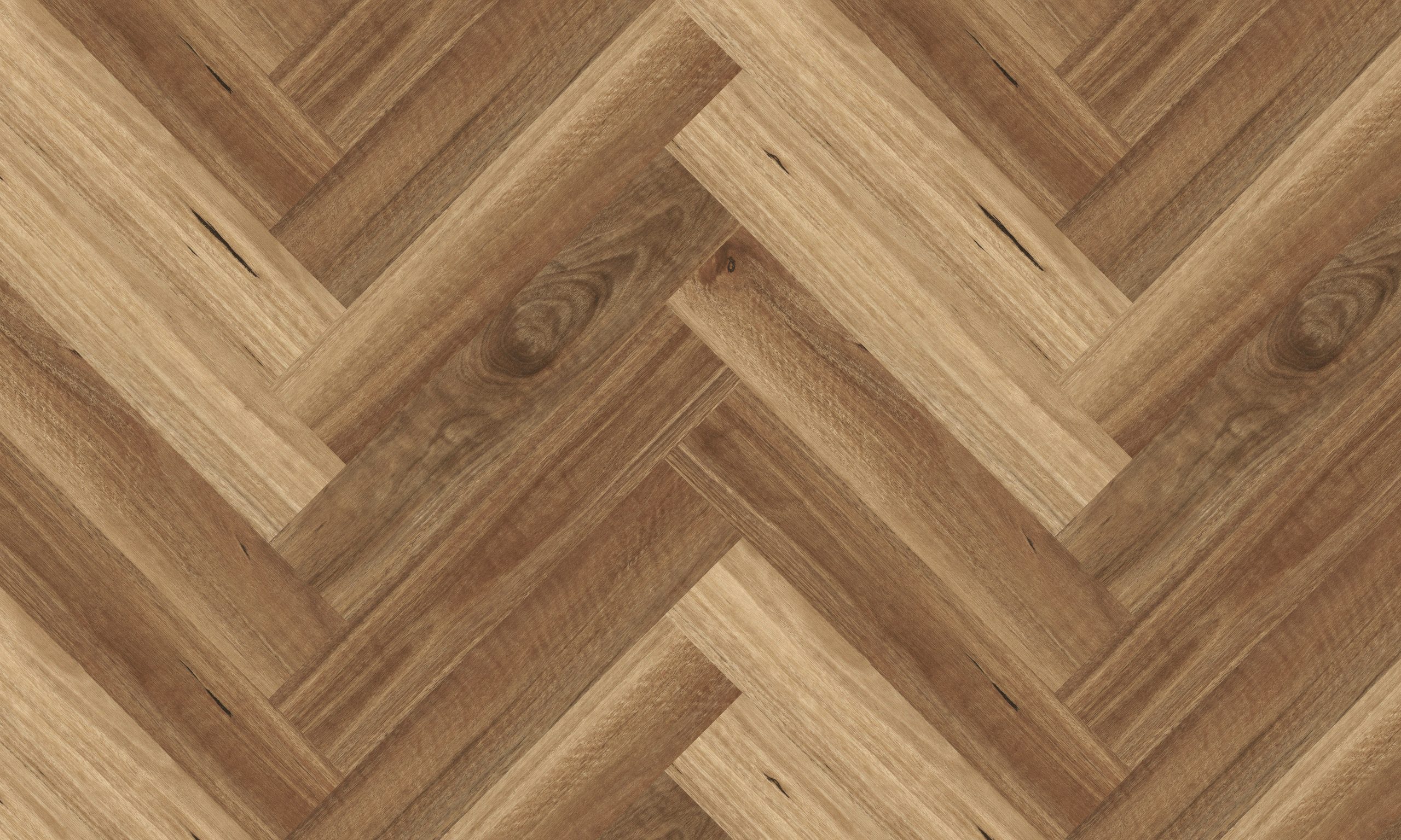 NSW Spotted Gum