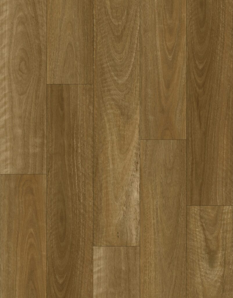 Native Spotted Gum