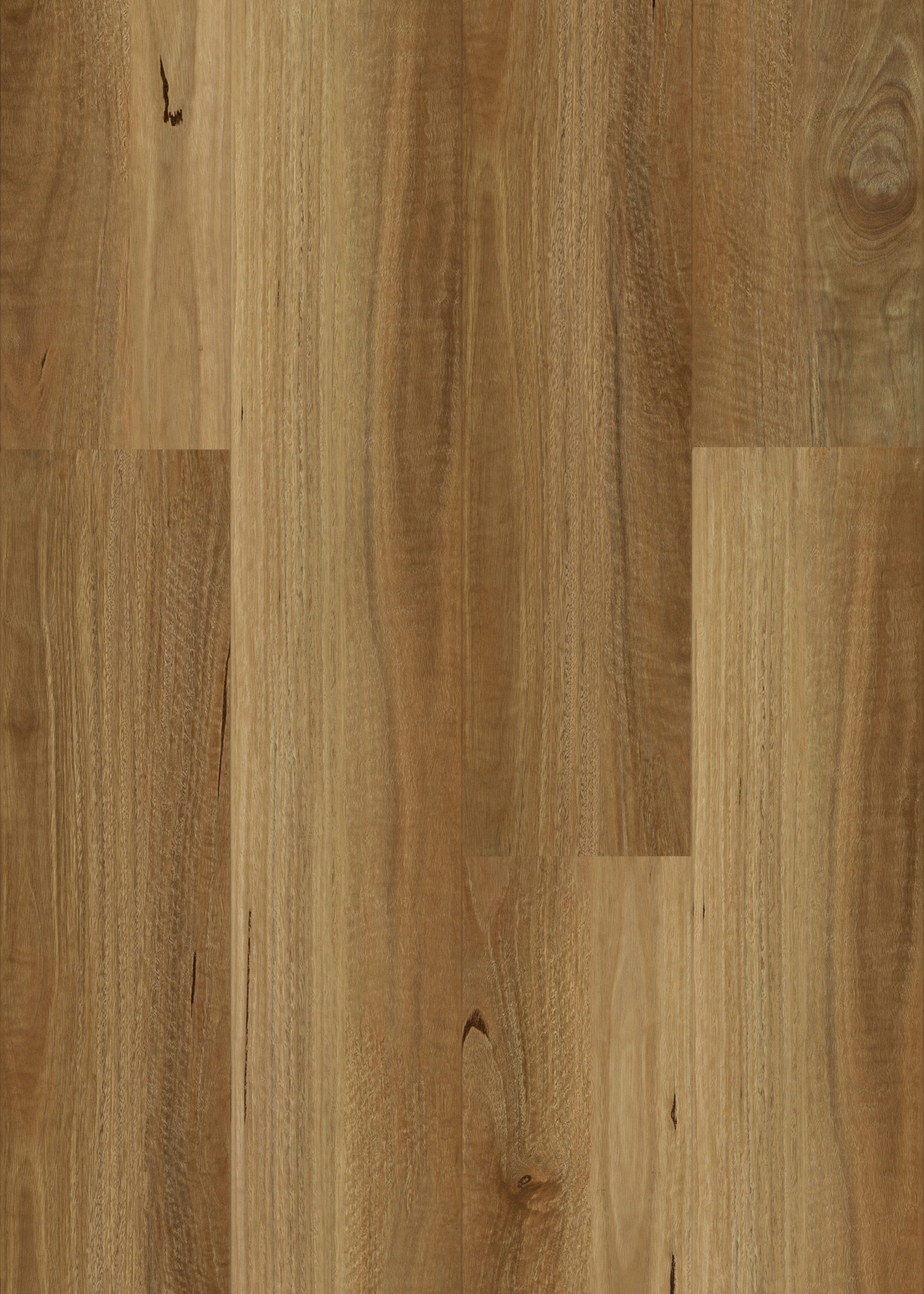 NSW Spotted Gum