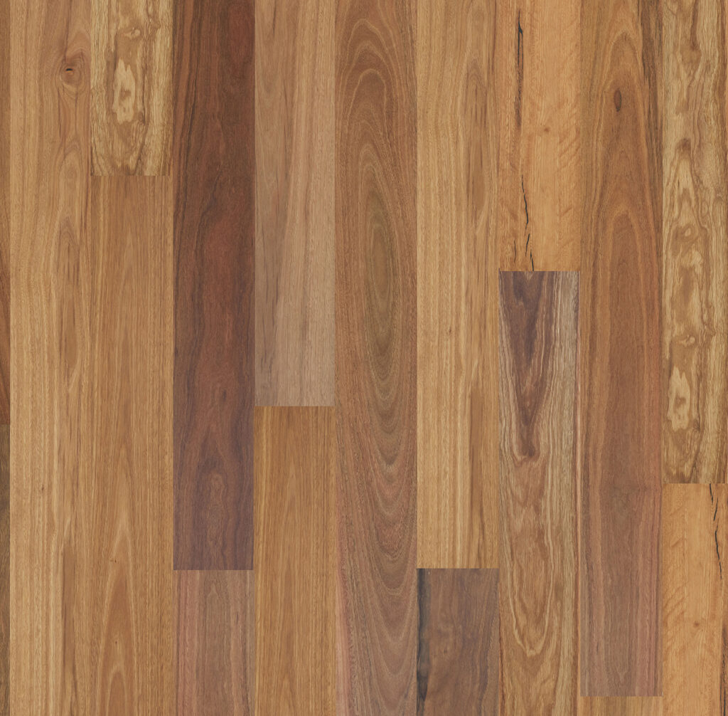 Spotted Gum Wide