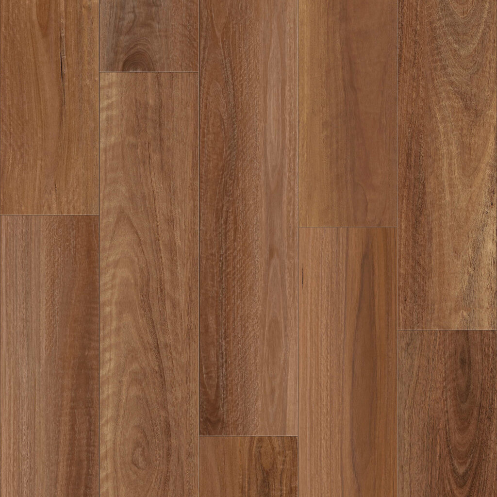 Spotted Gum
