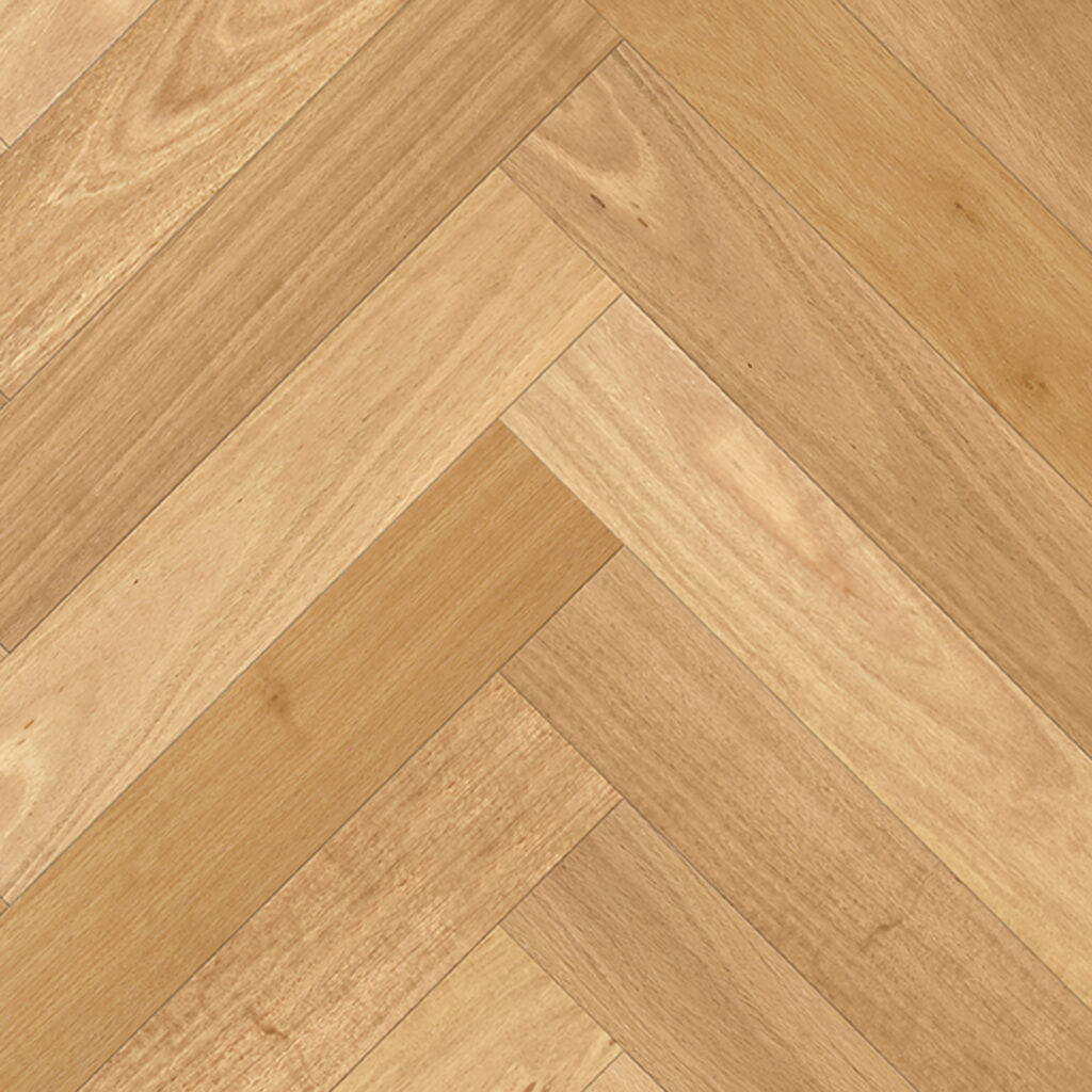 Blackbutt