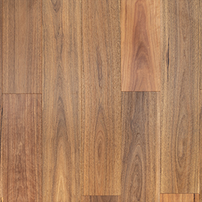 Spotted Gum