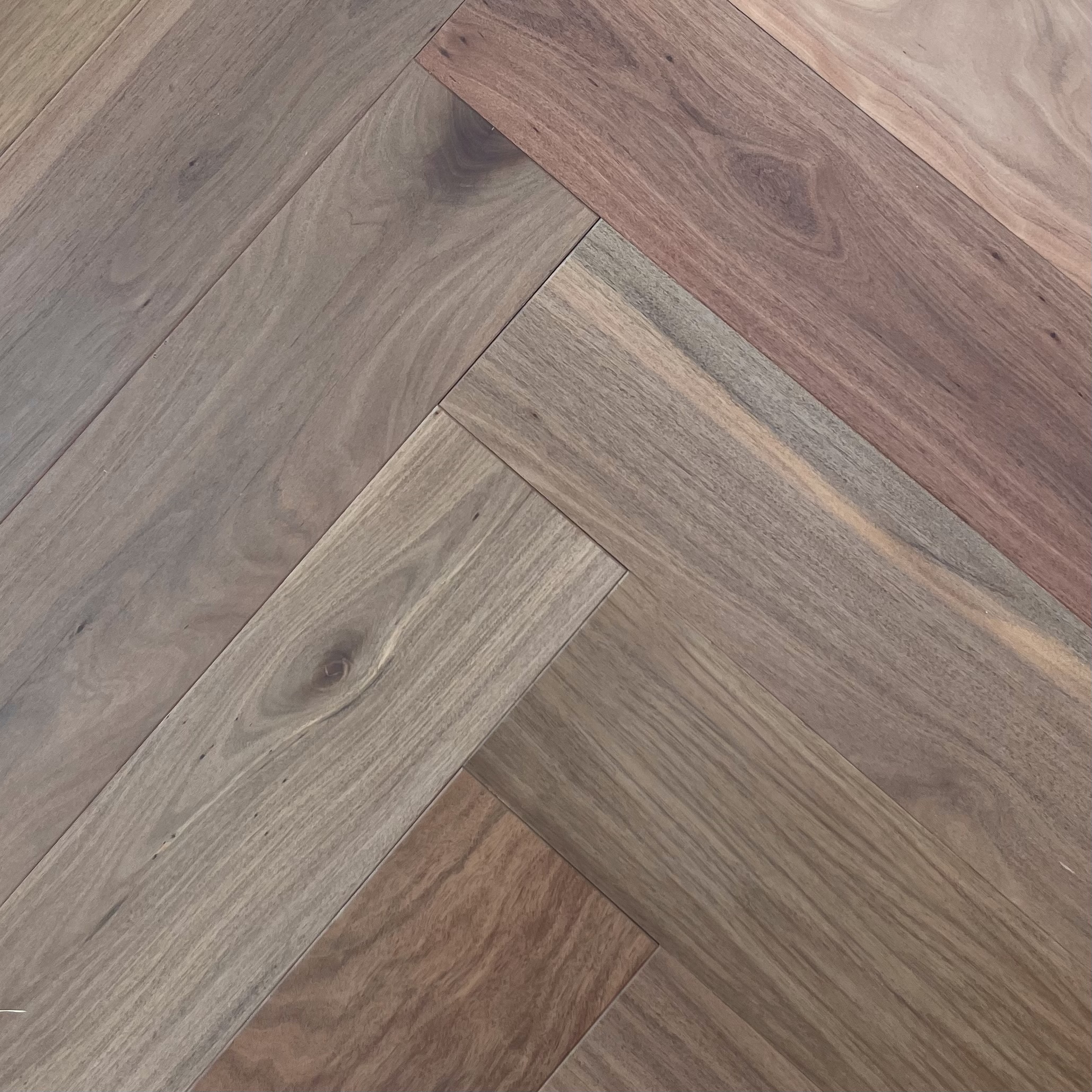 Brushbox (RIGHT)