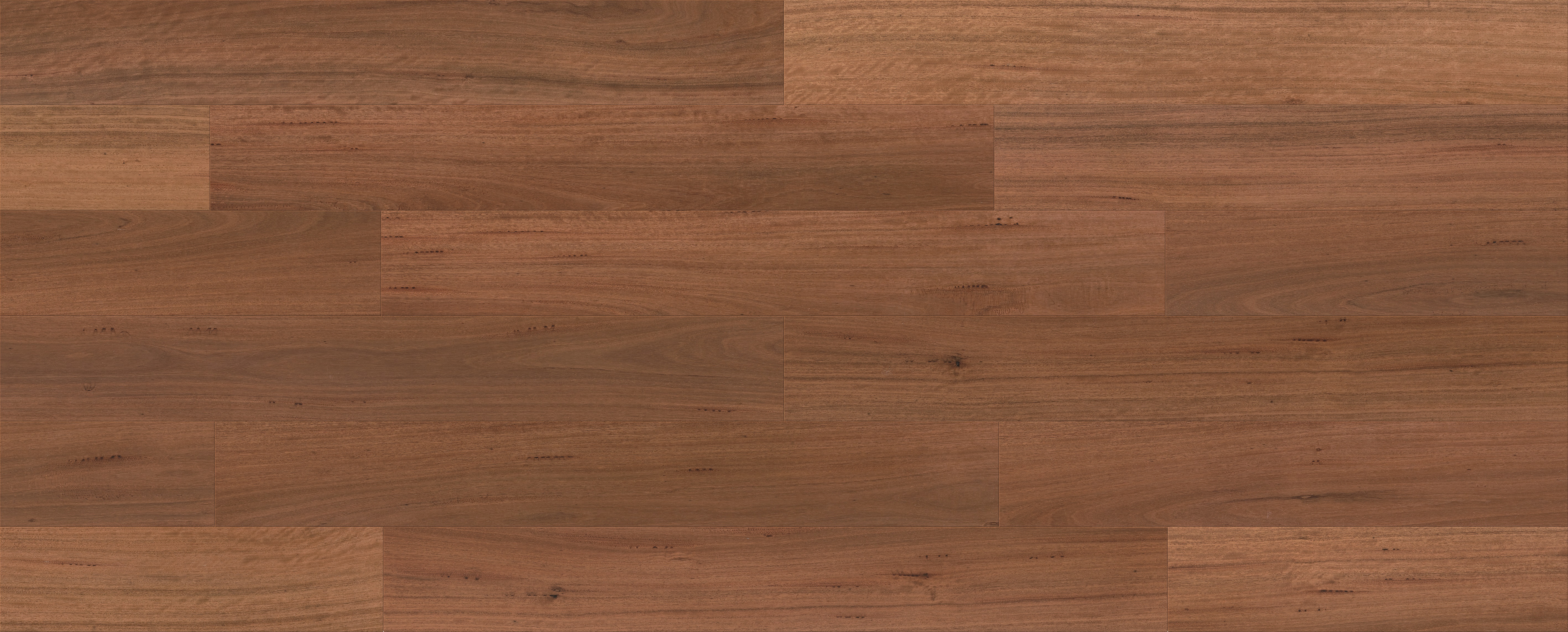 Ironbark (RIGHT)