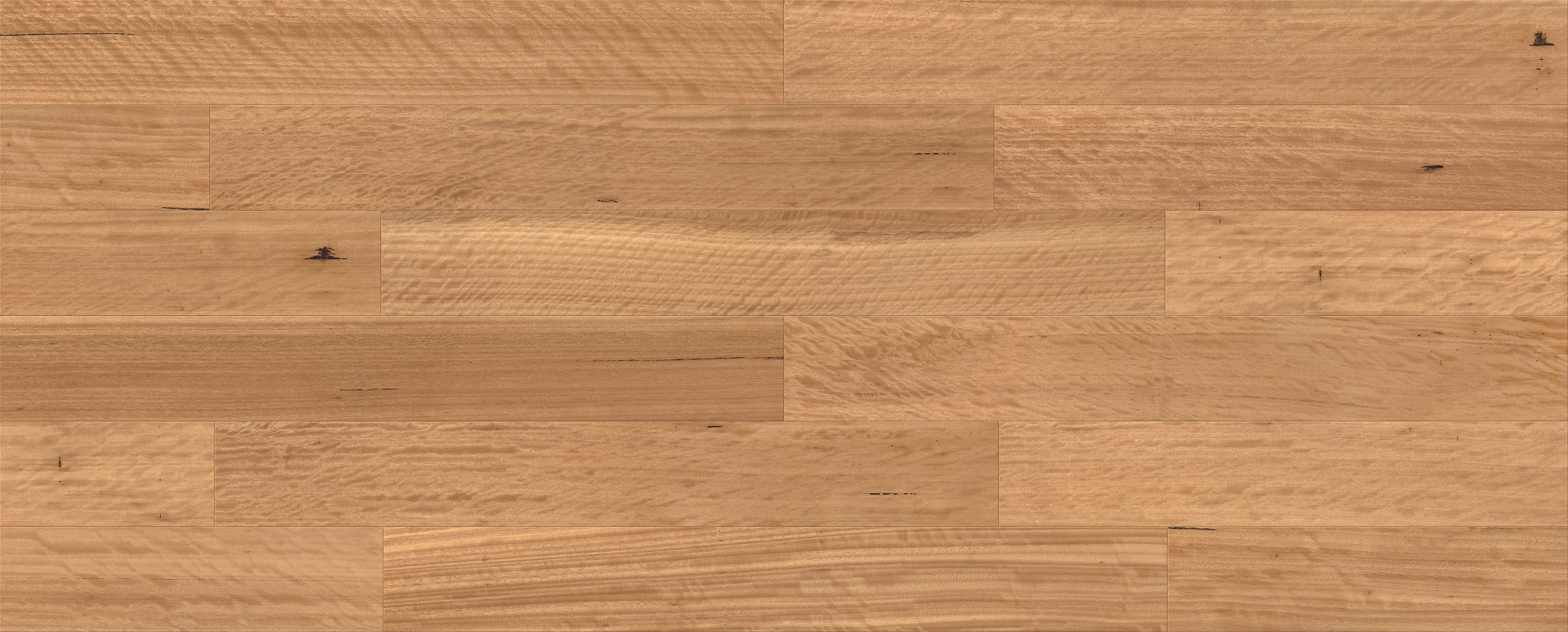 Blackbutt