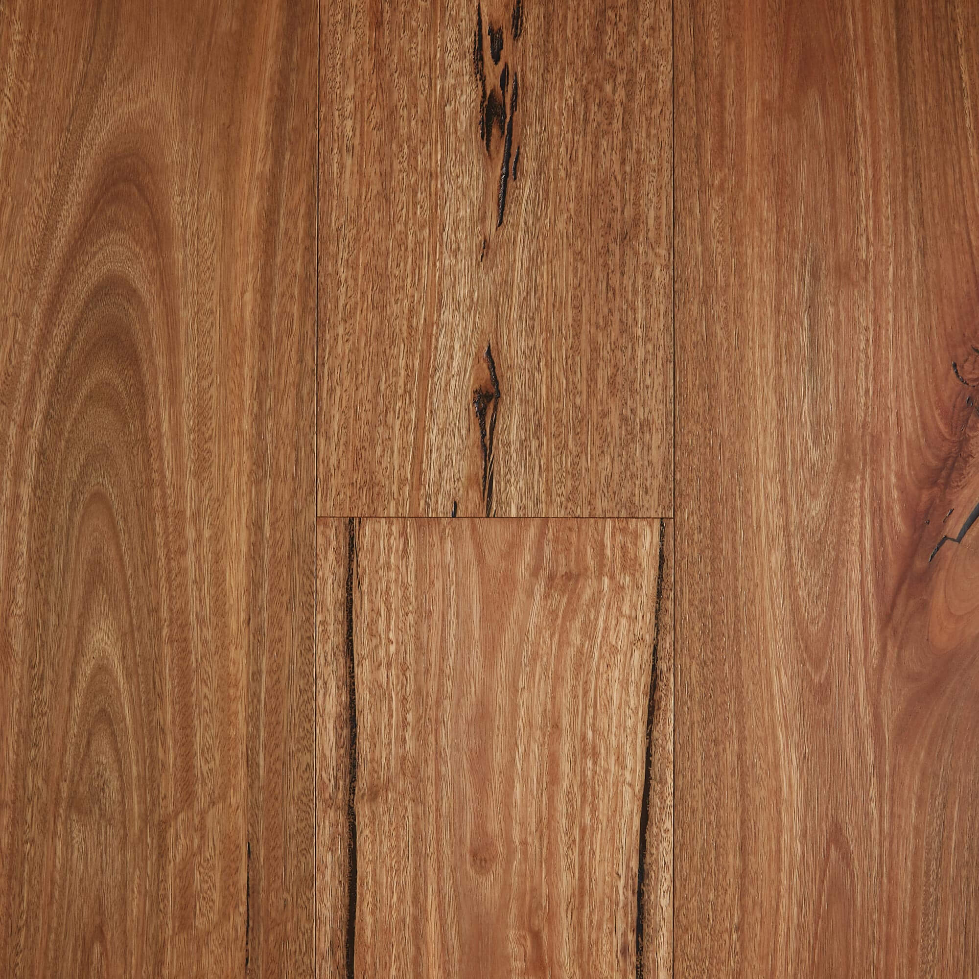 Gum Rustic Spotted