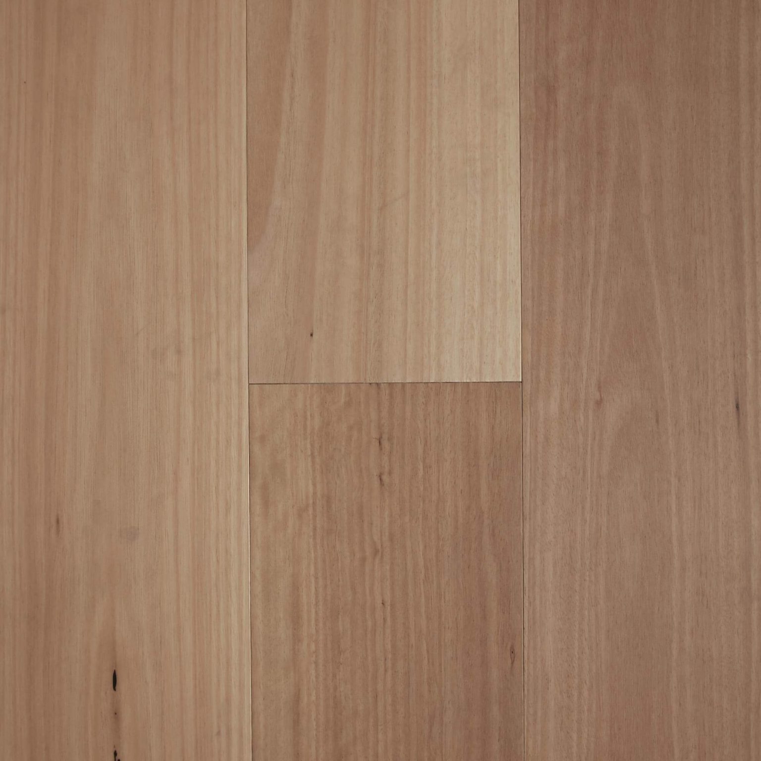 180 Blackbutt
